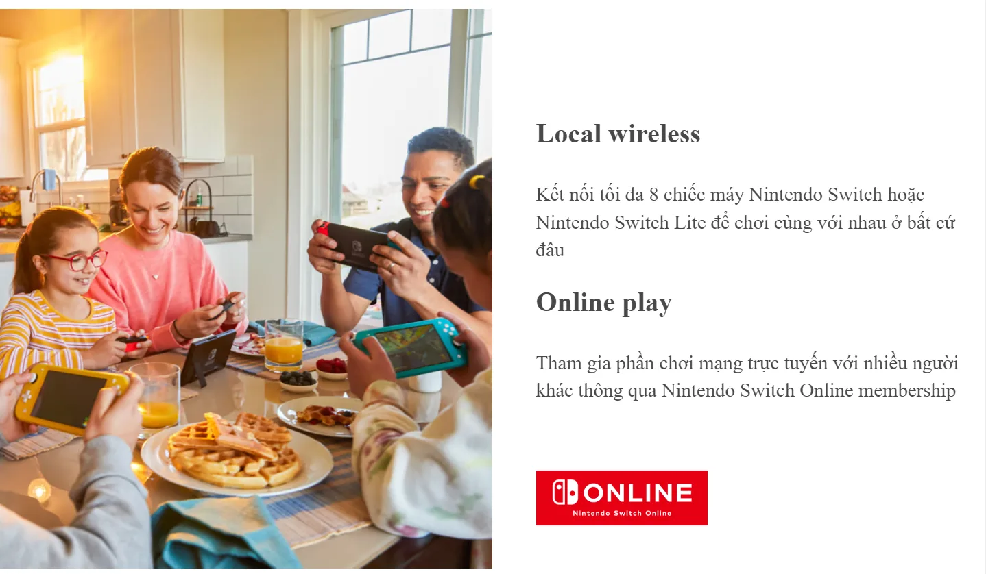 Máy chơi game Nintendo Switch Lite - Gray - Màu ghi 4