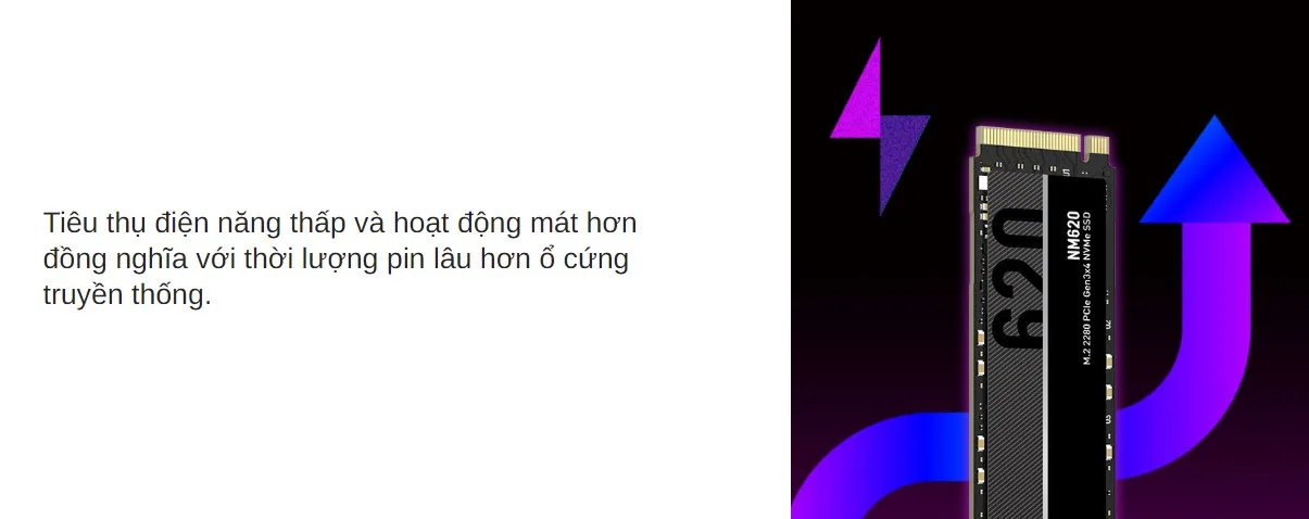 Ổ cứng SSD Lexar NM620 256GB M.2 2280 PCIe 3.0x4 (Đoc 3000MB/s - Ghi 1300MB/s) - (LNM620X256G-RNNNG)