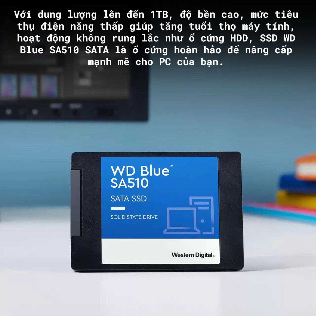 Ổ cứng SSD WD SA510 Blue