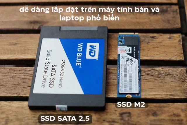 Ổ cứng SSD WD Blue 